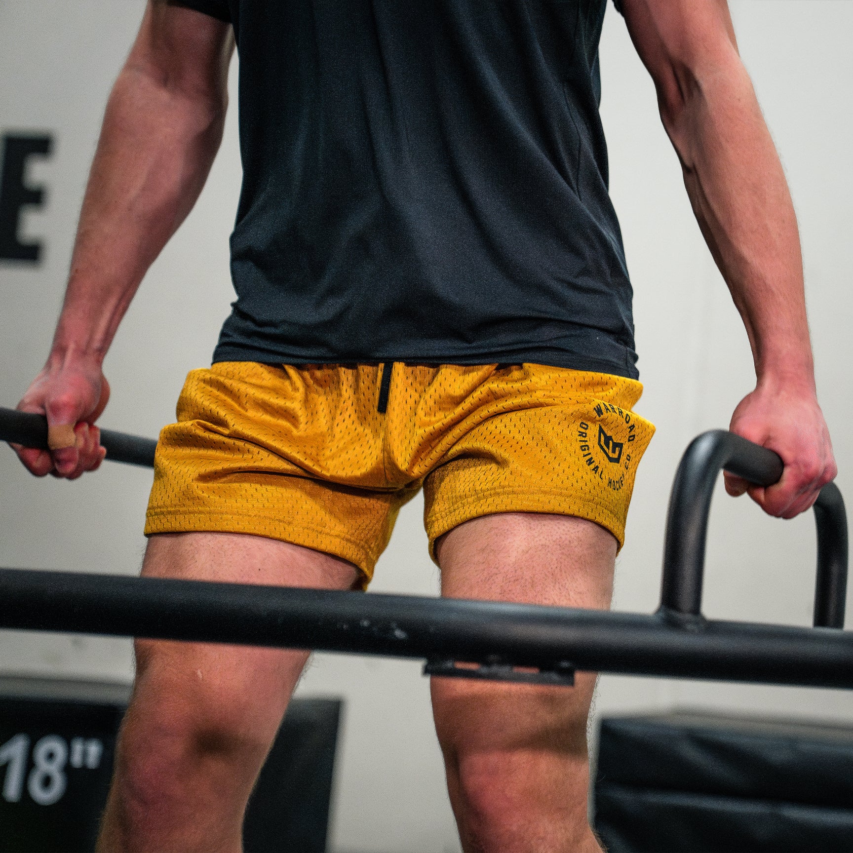 Prospect Mesh Short