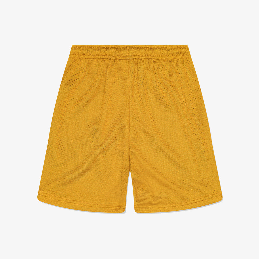 Prospect Mesh Short